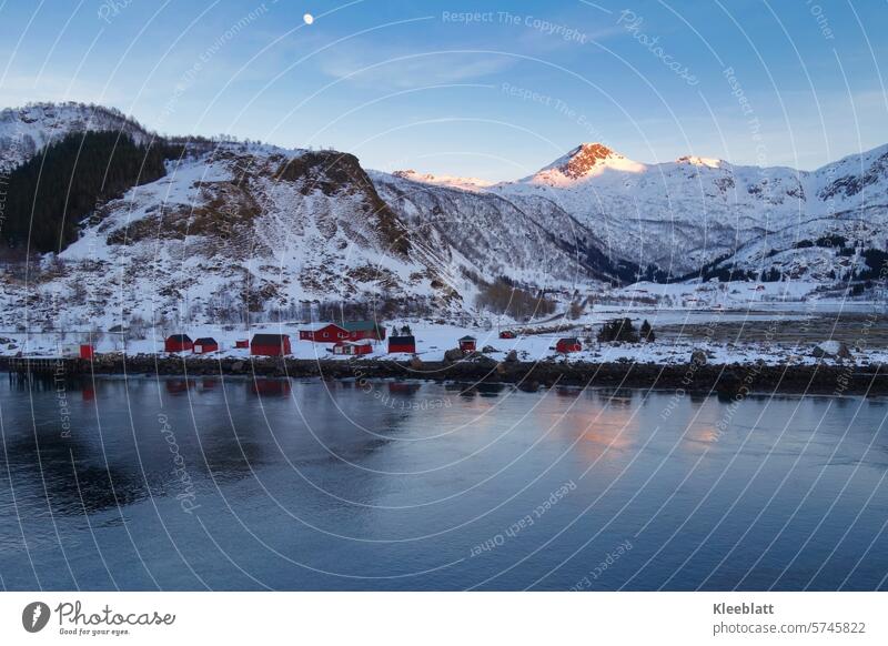 Norwegenliebe - rote Häuser entlang der Küste - Winteridylle Wintersonne typisch nordisch Schnee Eis Schiff Schiffsverkehr Wasser Meerenge