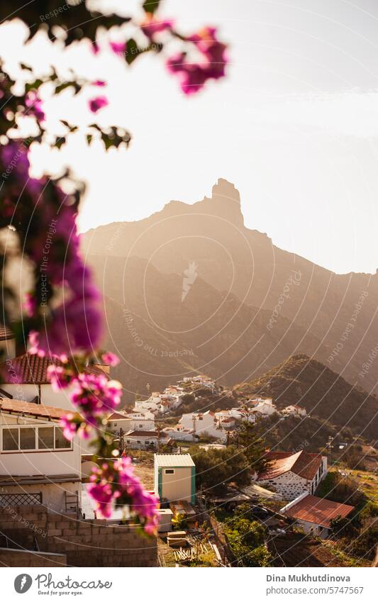 Silhouette eines Berges mit rosa Blumen im Vordergrund, Ort Tejeda auf der Insel Gran Canaria. Reiseziel. reisen tejeda Kanarienvogel Kanarische Insel