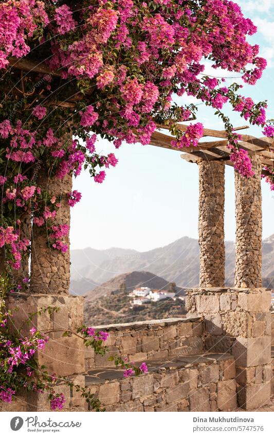 schöner Bogen Aussichtspunkt mit rosa Blumen und Panoramablick auf Berge und Dorf auf den Hügeln Landschaft, vertikale Tourismus Plakat auf Gran Canaria, Kanarische Inseln, Spanien