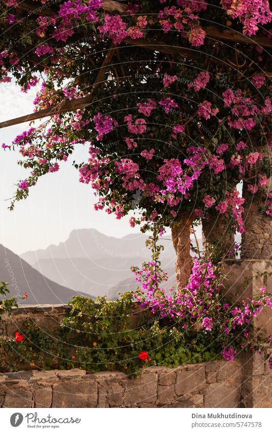 schöner Bogen Aussichtspunkt mit rosa Blumen und Panoramablick auf Berge und Dorf auf den Hügeln Landschaft, vertikale Tourismus Plakat auf Gran Canaria, Kanarische Inseln, Spanien
