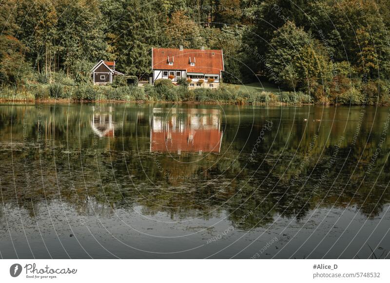 Naturreisen Deutschland Nordrhein-Westfalen Architektur Gegend Herbst Hintergrund schön Gebäude farbenfroh Kulturdenkmalschutz externalstones fallen Wald grün