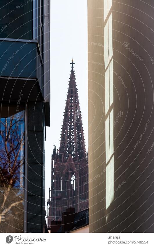 Kathedrale Religion & Glaube Wahrzeichen Sehenswürdigkeit Bauwerk Freiburg im Breisgau Architektur Sonnenlicht Kirche Tourismus Städtereise historisch