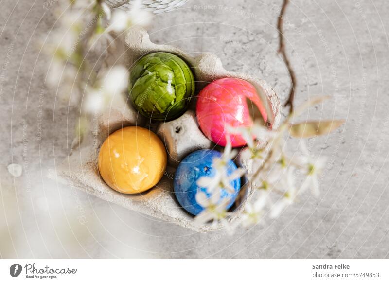Flatlay mit Ostereiern und Frühlings - Blüten - grauer Hintergrund Ostern Osterfest Tradition Feste & Feiern Dekoration & Verzierung Ei Eier bunte Eier