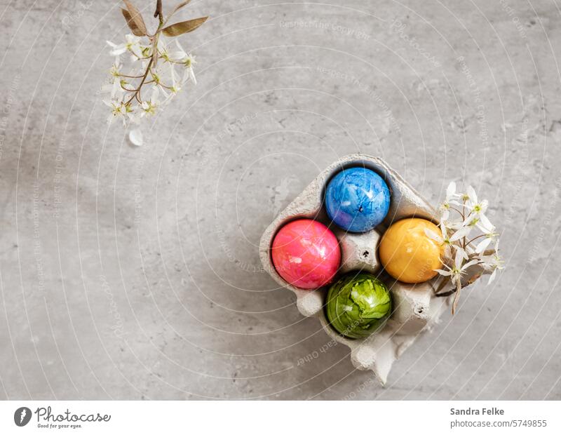 Flatlay mit Ostereiern und Frühlings - Blüten - grauer Hintergrund Ostern Osterfest Tradition Feste & Feiern Dekoration & Verzierung Ei Eier bunte Eier