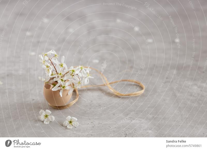 Eierschale als Vase - gefüllt mit Frühlings - Blüten Ostern Osterei Dekoration & Verzierung Farbfoto Osternest Nahaufnahme Feste & Feiern Innenaufnahme