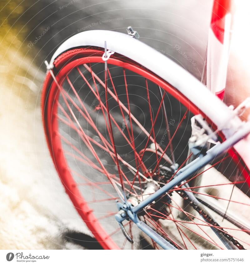 Das gleiche Rad - nur anders nachhaltig unterwegs umweltfreundlich Straßenverkehr fahren Bewegung Stadt Freizeit & Hobby parken Verkehr Fahrradfahren Mobilität