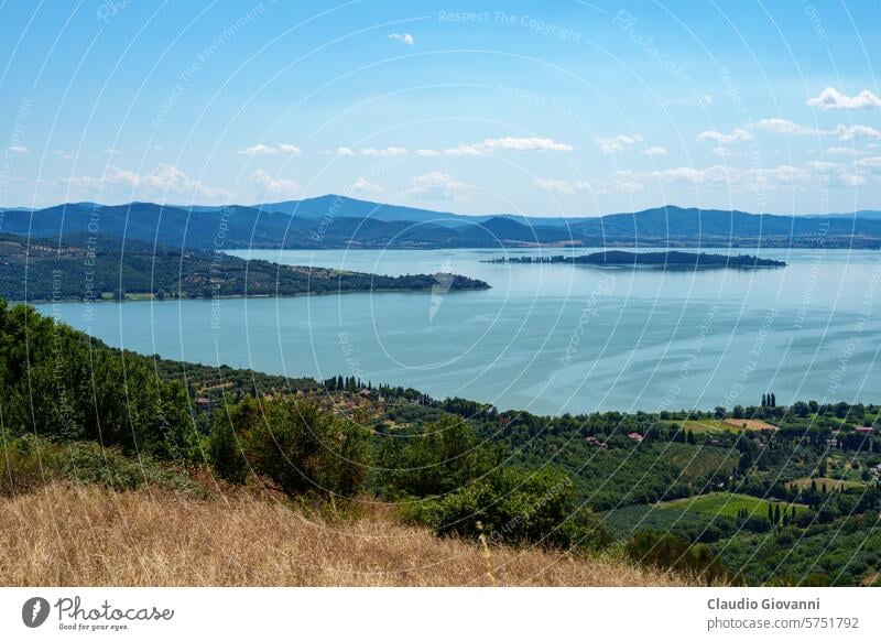 Der Trasimeno-See im Sommer in der Nähe von Passignano Europa Italien Juli Perugia Umbrien Farbe Land Tag Landschaft Natur oliv Fotografie Straße ländlich