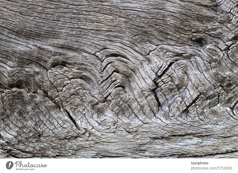 schöne detaillierte Eichendielenstruktur abstrakt gealtert Alterung Hintergrund Holzplatte braun Schreinerei Nahaufnahme Voraussetzung Konstruktion Riss