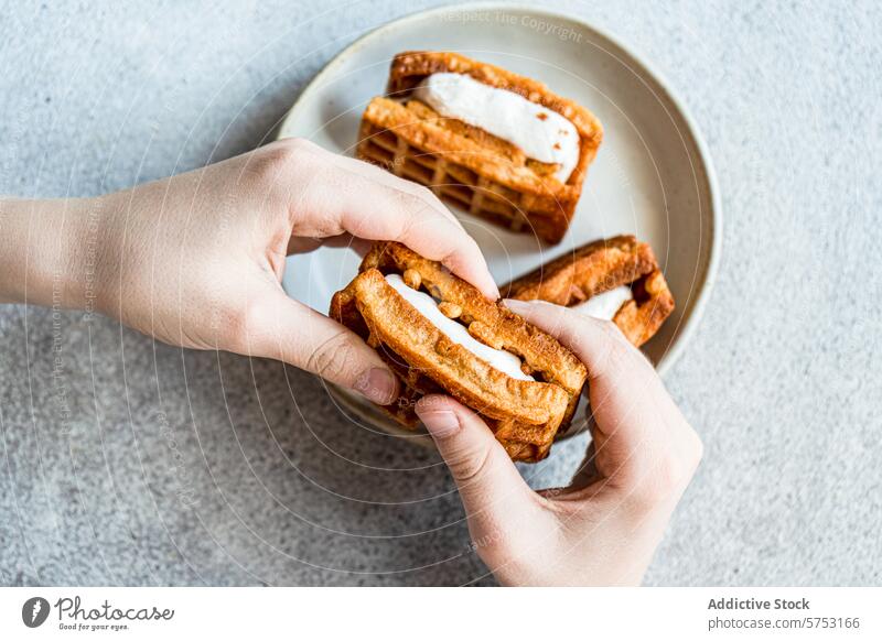 Waffeln mit Vanille-Marshmallow, die in den Händen gehalten werden selbstgemacht Hand Halt Lebensmittel Dessert Snack Konditorei süß cremig Ebene Teller