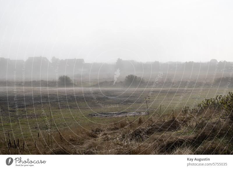 Nebelig nebelig Außenaufnahme Nebelstimmung Landschaft Natur Stimmung List Sylt Nebelschleier Landschaften Menschenleer Wiese Frühjahr Frühling Stimmungvoll