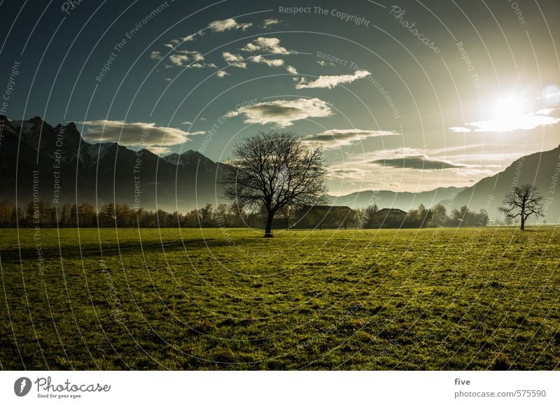 . Umwelt Natur Landschaft Pflanze Erde Himmel Wolken Sonne Sonnenaufgang Sonnenuntergang Herbst Schönes Wetter Baum Blume Gras Wiese Feld Wald Hügel Felsen