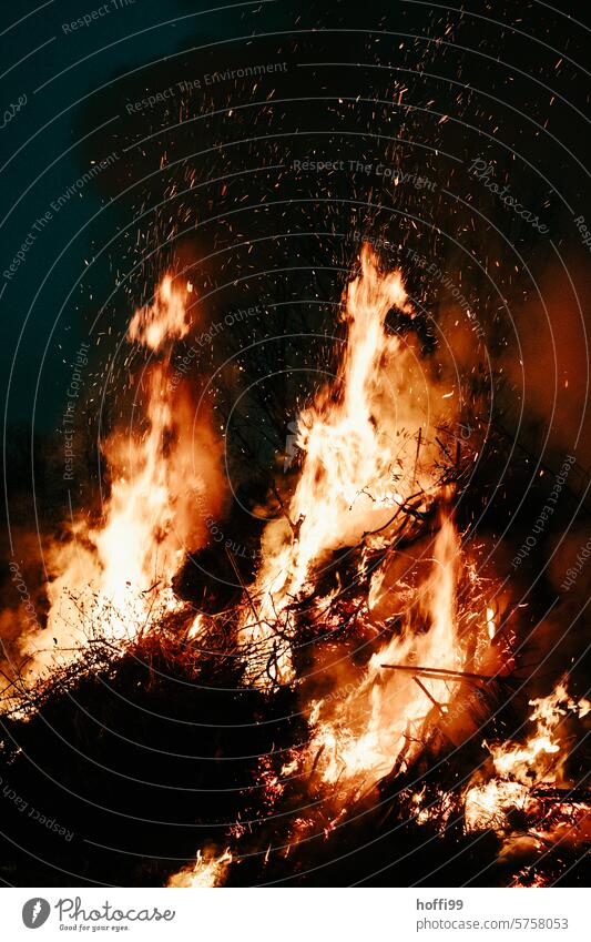 wildes großes Feuer Osterfeuer heiß Feuerstelle Flamme Menschenleer brennen Glut Holz gefährlich Nacht Licht Wärme Brand orange Hitze glühend verbrennen Gefahr