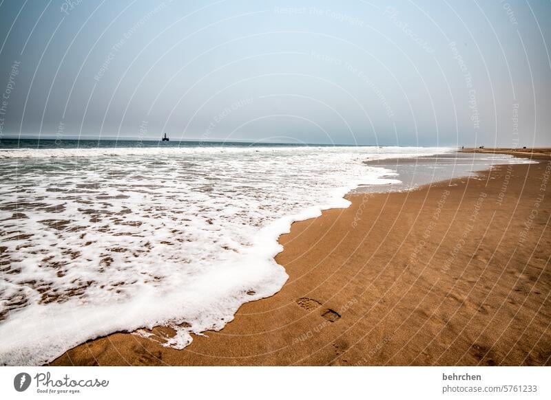 schaumschläger Schaum Brandung Rauschen Wasser Strand besonders Küste Farbfoto Afrika träumen reisen Fernweh Meer Ferne Namibia Landschaft