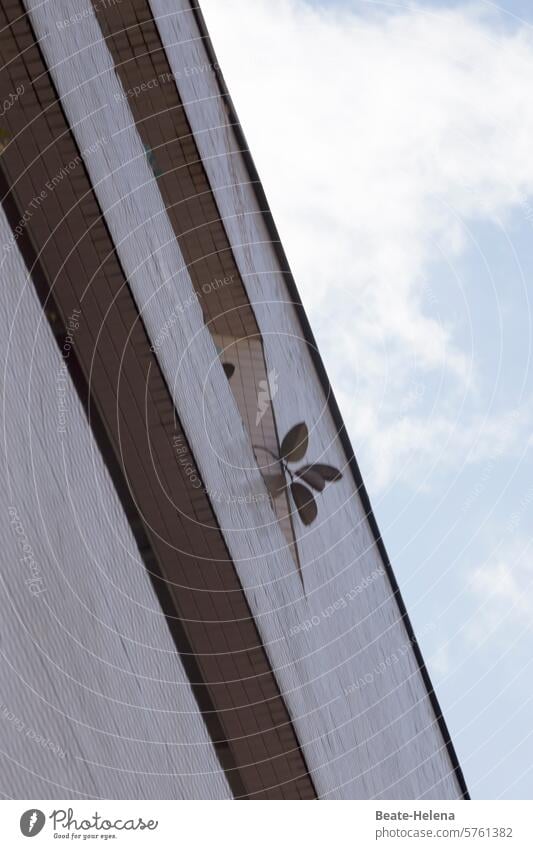 Pflanzenschmuck in der Betonwüste Gebäude gekachelt Wand Architektur Fliesen u. Kacheln Haus Muster Fassade Außenaufnahme Strukturen & Formen Menschenleer