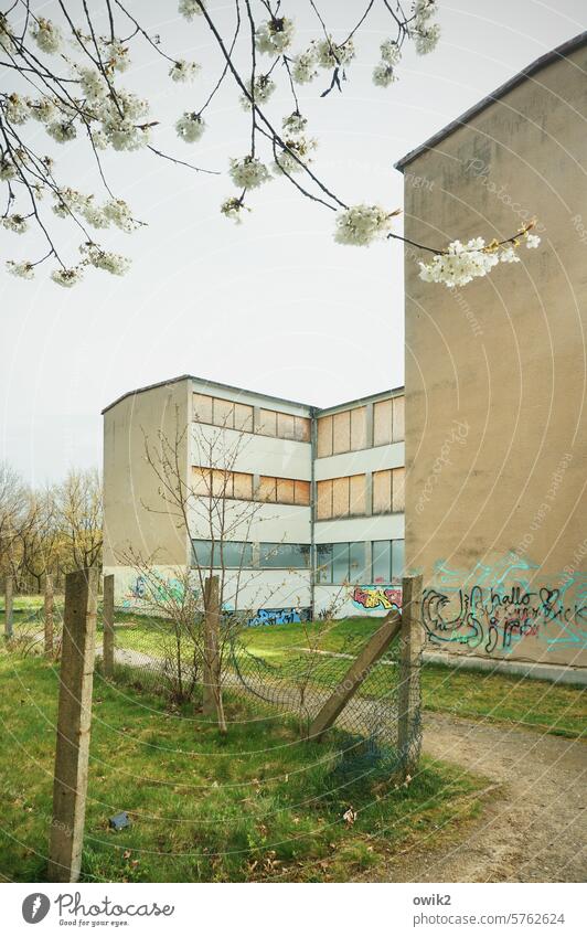 Schulschluss DDR-Schule alt geschlossen Schulgebäude gealtert Verlassen Ruine aufgegeben Anwesen Krise Außenaufnahme Menschenleer Fassade Wand Fenster Mauer