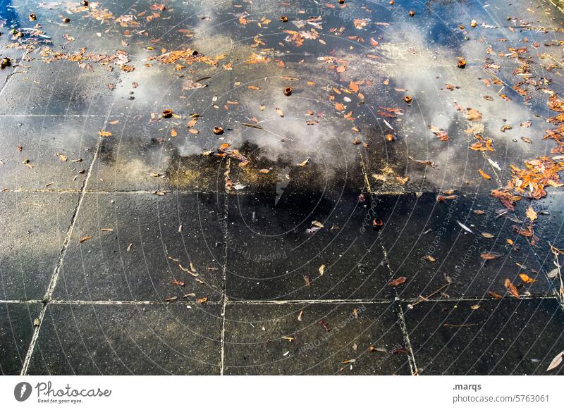 Wechselhaft Boden Steinplatten Reflexion & Spiegelung nass feucht Wasser Blatt Herbst Wolken kalt Umwelt Klimawandel Wetter Wetterumschwung
