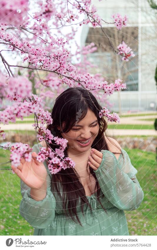 Junge Frau genießt die Kirschblüten im Frühling Garten Überstrahlung Freude Bewunderung berührend Natur Blumen Lächeln Fröhlichkeit im Freien rosa Baum geblümt