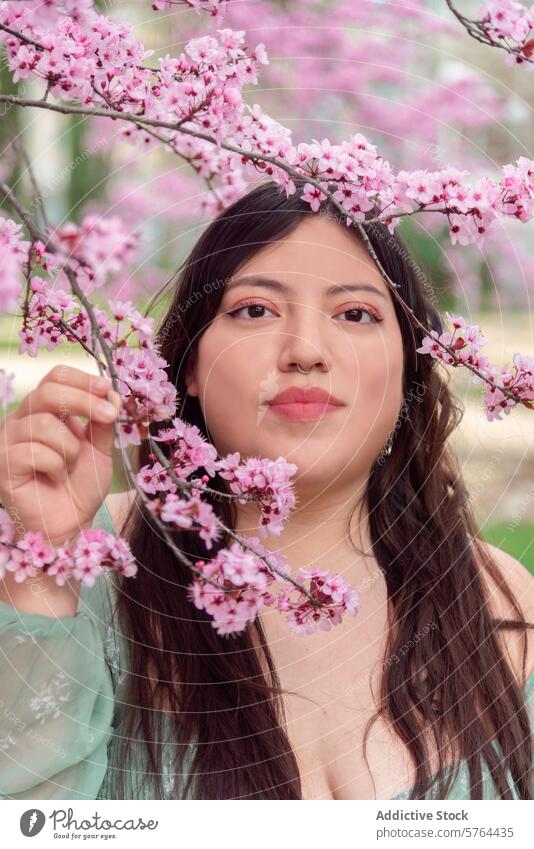 Junge Frau genießt die Kirschblüten im Frühling Garten Überstrahlung Freude Bewunderung berührend Natur Blumen Lächeln Fröhlichkeit im Freien rosa Baum geblümt