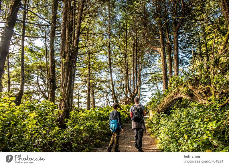 vancouver island Zusammensein gemeinsam Vater und Sohn Ferne Fernweh Ferien & Urlaub & Reisen Ausflug Baumstamm knorrig Junge Kindheit Vancouver Island