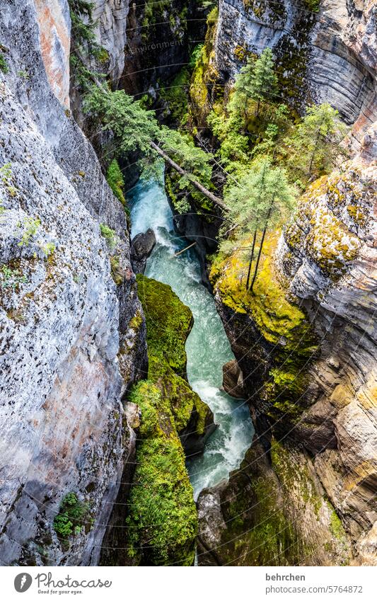 gefahrenquelle | in die tiefe stürzen Höhe hoch schwindelfrei schwindelig maligne canyon steil abgrund flussbett Schlucht Alberta Abenteuer Jasper National Park