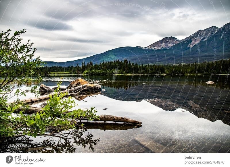 in der ruhe liegt die kraft friedlich Idylle stille Ruhe Alberta Wolken Jasper National Park See Bäume Nordamerika Reflexion & Spiegelung Bergsee