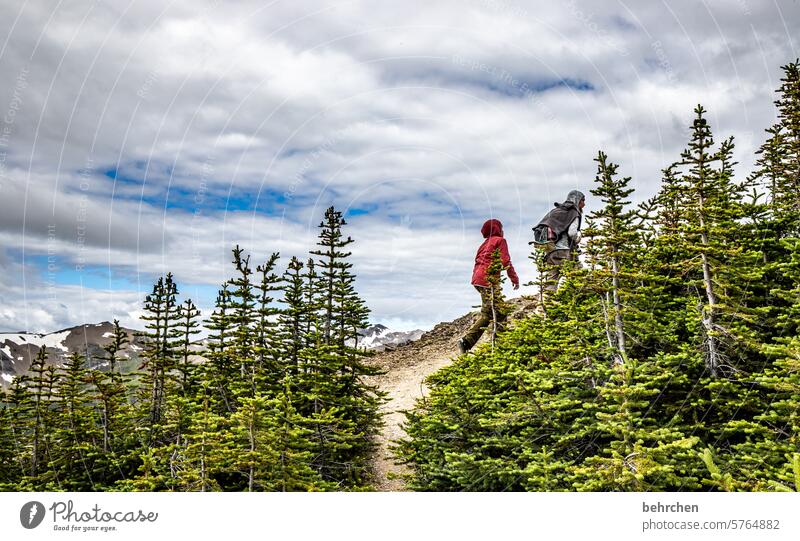 *4 8 0 0* gipfelstürmer…noch ein kleines stück… besonders Landschaft Nordamerika Alberta Jasper National Park Kanada fantastisch Himmel Berge u. Gebirge Ferne