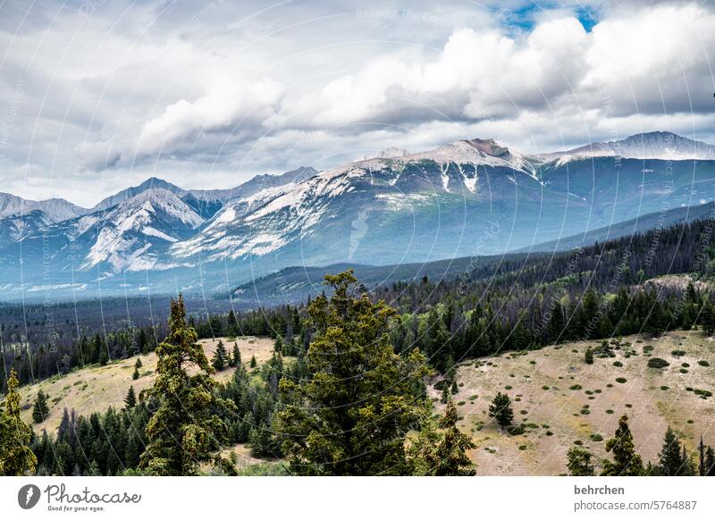 gipfelstürmer besonders Landschaft Nordamerika Alberta Jasper National Park Kanada fantastisch Himmel Berge u. Gebirge Ferne Fernweh Rocky Mountains Gletscher