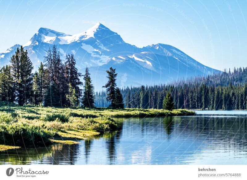 kanada Maligne Lake Rocky Mountains See Fernweh Ferien & Urlaub & Reisen Wald Ferne Kanada Abenteuer Natur Landschaft Nordamerika Himmel Alberta Wasser Seeufer