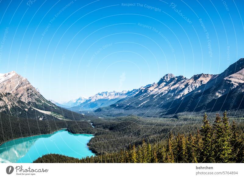 unwirklich schön Bergsee besonders fantastisch Menschenleer Wolf weite Ferne Alberta Banff National Park Fernweh Tourismus Himmel Außenaufnahme Gletscher