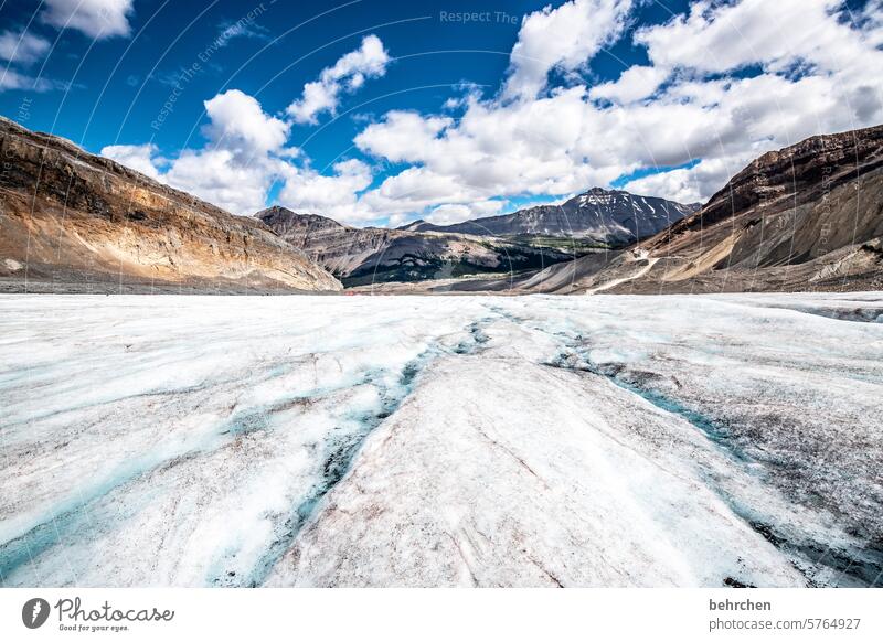 eiszeit Klima Klimawandel Kälte Klimaschutz Eiskristall Umweltschutz beeindruckend kalt Banff National Park Icefield Parkway Gletscher Athabasca Glacier