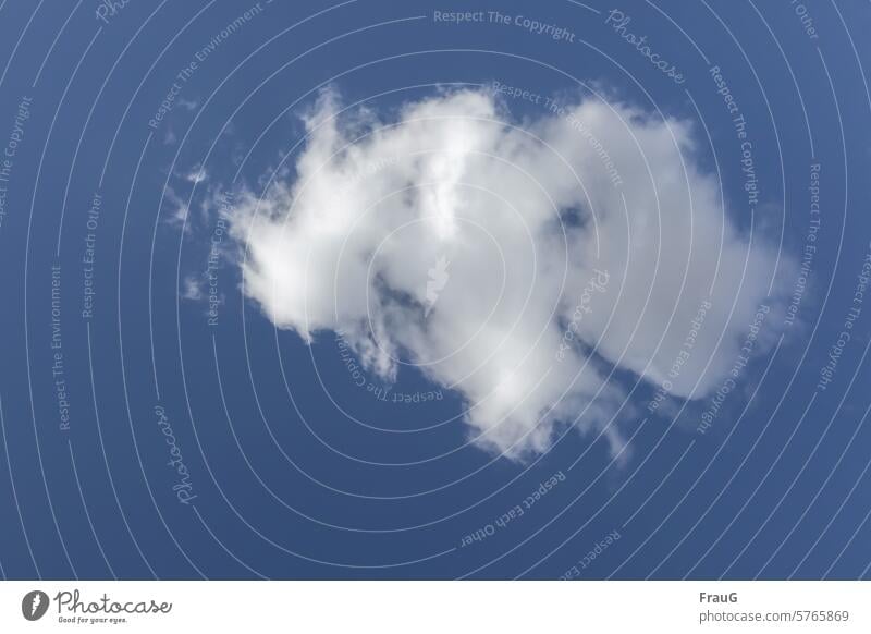 eine freundliche Wolke Himmel blau Figur Gesicht lächeln Natur schönes Wetter