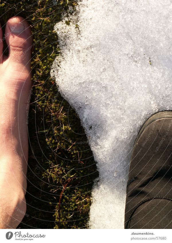 Zwischen den Zeiten Wiese Zehen Schuhe Licht Winter Frühling Sommer kalt Physik Widerspruch Schnee Fuß grass Sonne Haut Beine Wärme Kontrast Barfuß