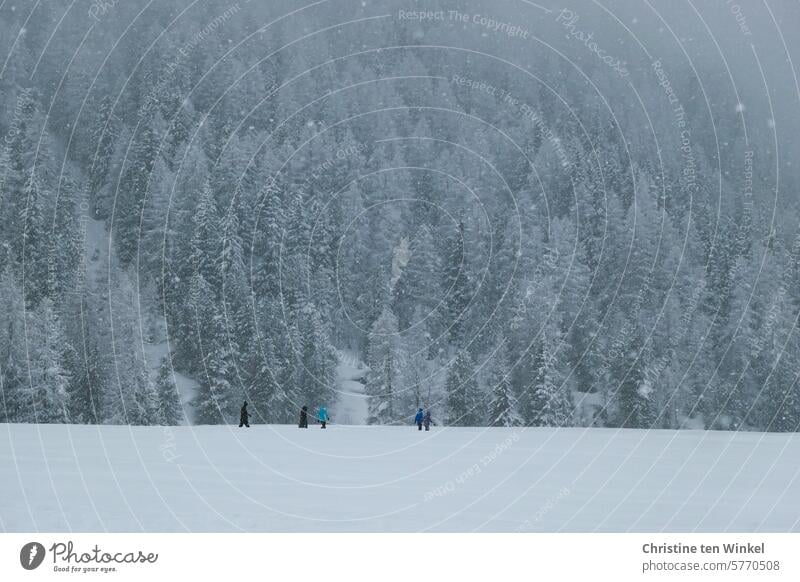 Wintergang Spaziergang im Schnee Winterwanderung Schneelandschaft Winterstimmung schneien Winterlandschaft Schneedecke Kälte Wintertag weiß Natur Menschen