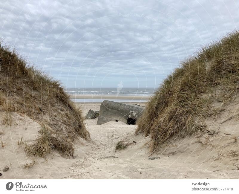 Bunker an der Küste von Dänemark Außenaufnahme Farbfoto