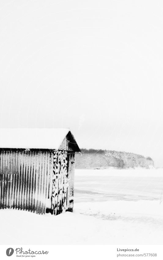 Wreechen/Rügen Landschaft Winter Eis Frost Schnee Küste grau schwarz weiß Schwarzweißfoto Menschenleer Tag Kontrast