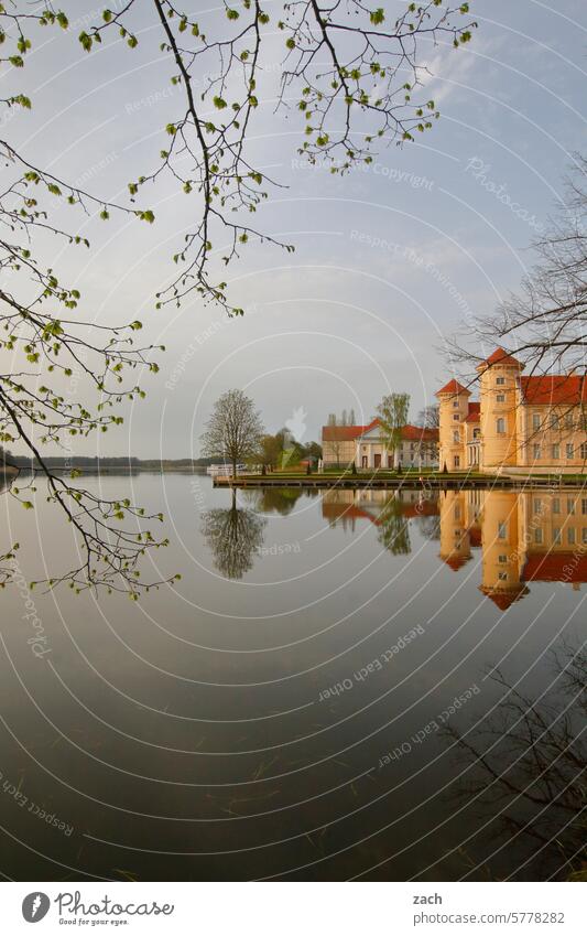 Eigentumswohnung Schloss Burg oder Schloss historisch Rheinsberg Schlosspark Schloss Rheinsberg Schlossgarten Spiegelung Spiegelungen See Wasser Turm