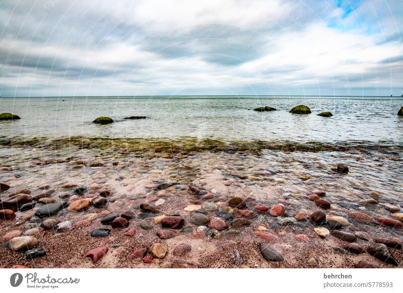 steinesammler Steine Ferien & Urlaub & Reisen Ostseeküste Mecklenburg-Vorpommern Küste Strand Meer Idylle Sehnsucht Wasser Wellen Wolken Himmel Fernweh weite