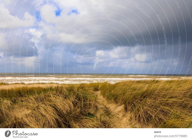 Dünen und das stürmische Meer mit wilden Wellen in der niederländischen Stadt Bergen aan Zee an einem stürmischen Tag mit bewölktem Himmel holländisch h2o