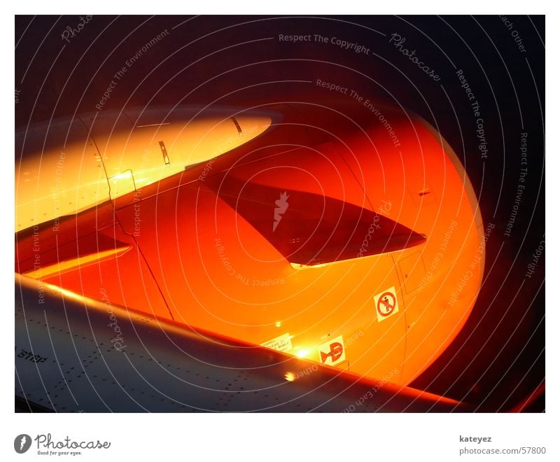 Easyjet Flugzeug über den Wolken Luft Ferien & Urlaub & Reisen easyjet orange fliegen Luftverkehr düse Detailaufnahme Sonne hell Schatten