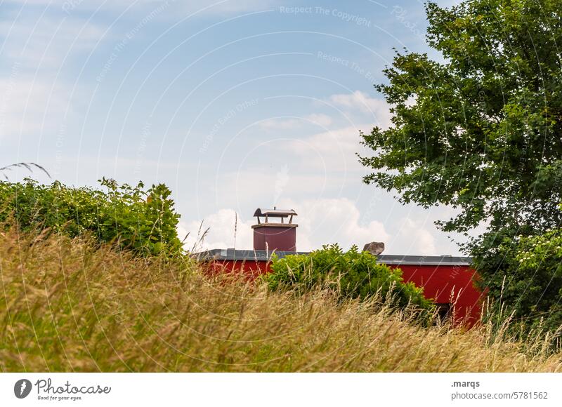 Haus im Grünen ländlich ökologisch wohnen Wolken Baum Einsamkeit grün Häusliches Leben natürlich Gras Umwelt Landschaft Himmel Natur Wiese rot Schönes Wetter