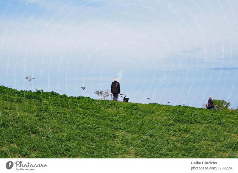 Gras und Himmel. Ältere Dame geht mit Hund unter blauem Himmel auf grasbewachsenem Damm spazieren. ältere Frau weißhaarig Silverager Natur freizeit Erholung