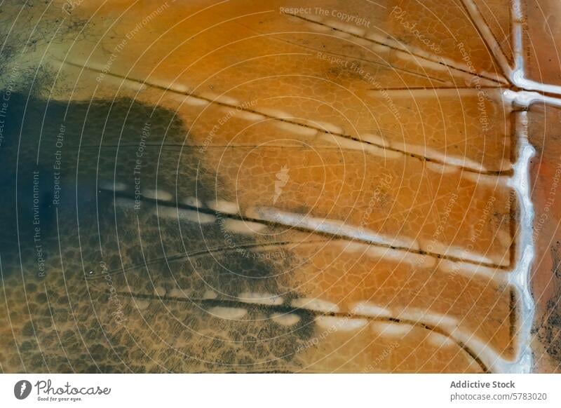 Luftaufnahme der strukturierten Salzlagunen in Toledo Antenne Ansicht Dröhnen Schuss Textur Muster Spanien natürlich Schönheit erdig faszinierend Overhead
