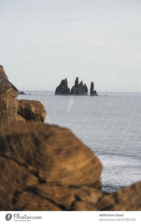 Majestätische Meeresstapel vor der Küste von Vik, Island Reynisdrangar Seeschornstein Nordatlantik Strand schwarzer Sand Küstenstreifen Wahrzeichen Natur