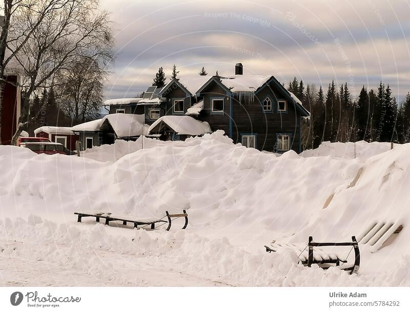 Lappland | Versunken im Schnee Landschaft Naturwunder Stille Freiheit Traumhaft Idyllisch Tourismus Winterurlaub Skandinavien Ferien & Urlaub & Reisen kalt