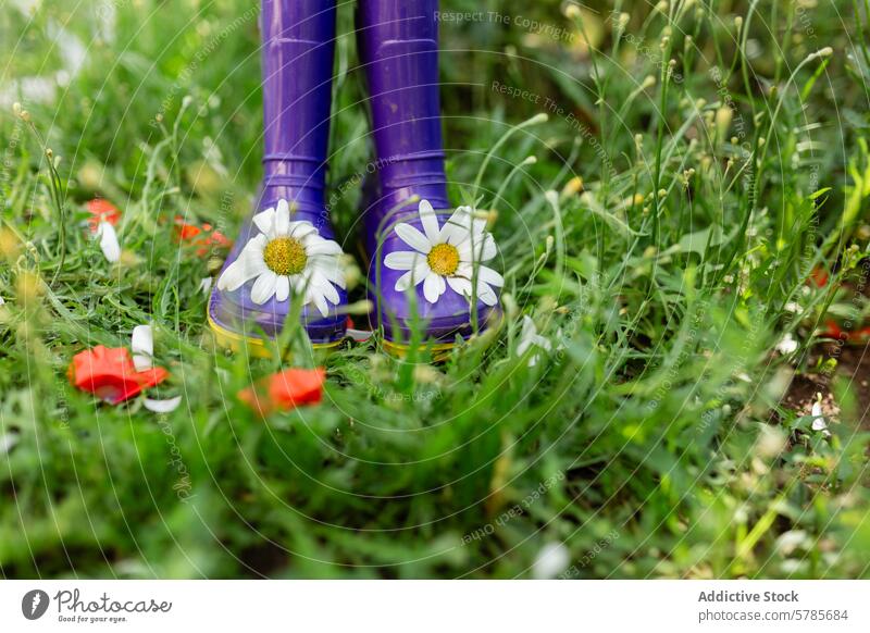 Lila Regenstiefel inmitten von Frühlingsblumen in einem Garten Stiefel purpur Blume Gras im Freien Schuhe Gänseblümchen weiß grün Dekoration & Verzierung