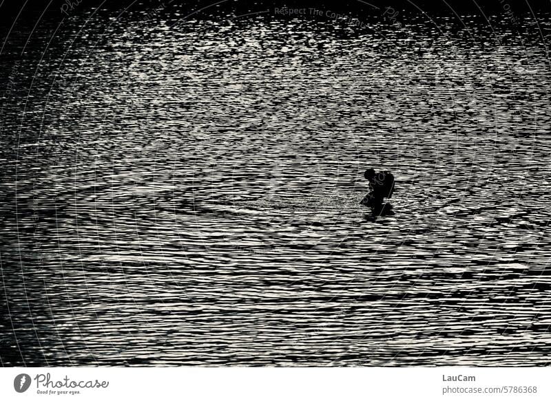 Schwimmen in der Abenddämmerung See schwimmen baden Schwimmen & Baden Sommer Wasser Erfrischung Schwimmbad Erholung nass erfrischend Dämmerung am Abend