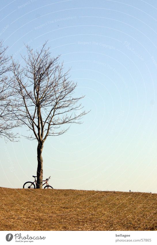 verlassenes Fahrrad Einsamkeit Wiese Außenaufnahme Baum Winter ruhig Gras gelb Horizont Hügel Licht kalt trist Himmel blau hell Ast keine blätter