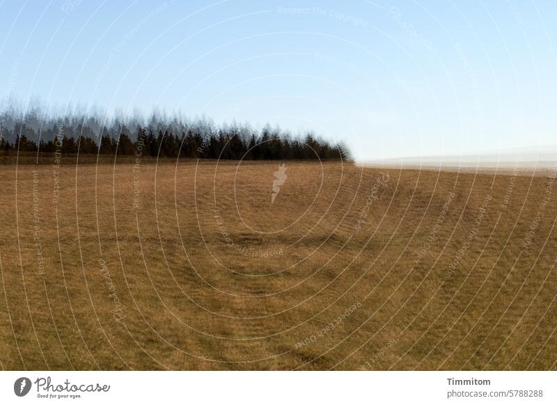 Wald und Wiese - leicht schwindelig trocken Gras Bäume Baumwipfel Schwarzwald Himmel blau verschwommen Natur Sommer Hügel Landschaft Mehrfachbelichtung