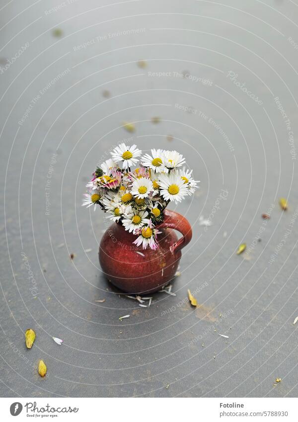 Auf dem Tisch in meinem Garten steht ein Strauß Gänseblümchen in einer kleinen Vase. Aber sie haben durch das gestrige Unwetter ein wenig gelitten. Blume Blüte