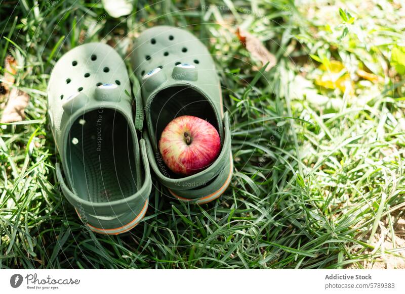 Apfel in einem Clog auf einer Wiese Gras Schuhe Gartenschuh Frucht grün Gummi im Freien Natur Rasen lässig Tageslicht sonnig ruhen Boden Blatt Gesundheit